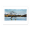 Wānaka Tree in Wintertime Art Print