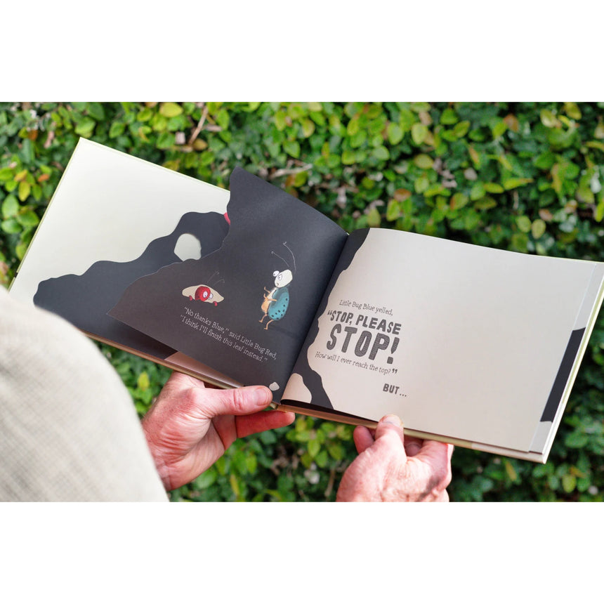 Two Little Bugs Children's Book